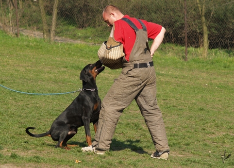 Training 26. 3. 2007